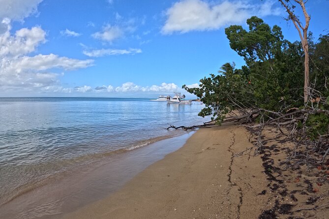 Vieques All-Inclusive: Swim with Turtles & Enjoy Pristine Beaches - Why the Vieques crossing is the main attraction