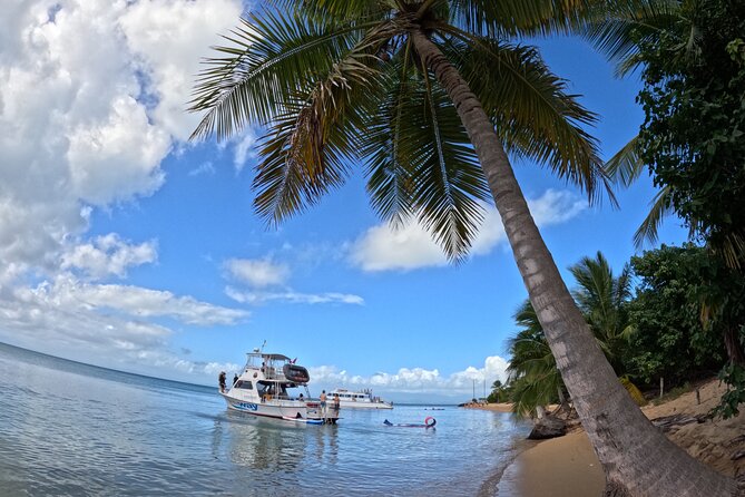Vieques All-Inclusive: Swim with Turtles & Enjoy Pristine Beaches - What the high-speed boat ride means for you