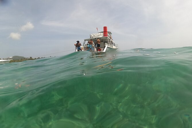Vieques All-Inclusive: Swim with Turtles & Enjoy Pristine Beaches - The snorkeling stop and possible turtle sightings