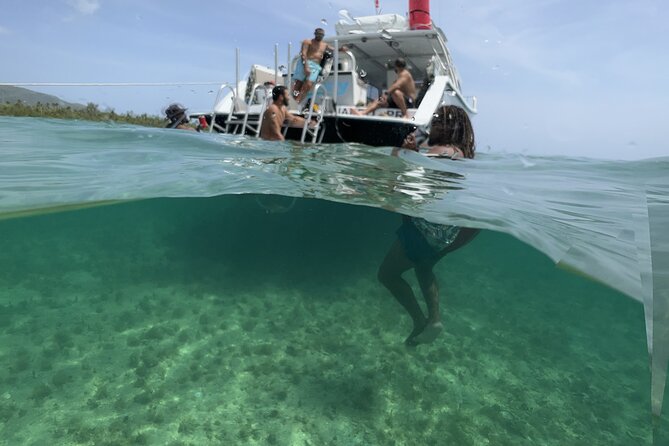 Vieques All-Inclusive: Swim with Turtles & Enjoy Pristine Beaches - Lunch on the boat, not a rushed snack