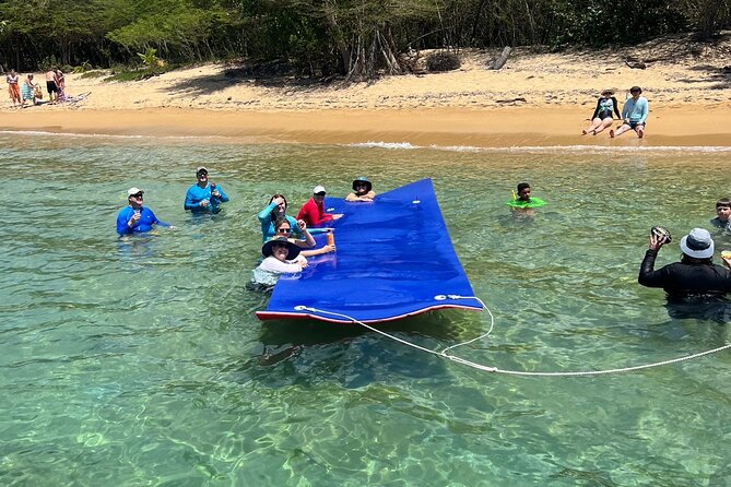 Vieques All-Inclusive: Swim with Turtles & Enjoy Pristine Beaches - Who will get the most from this outing?