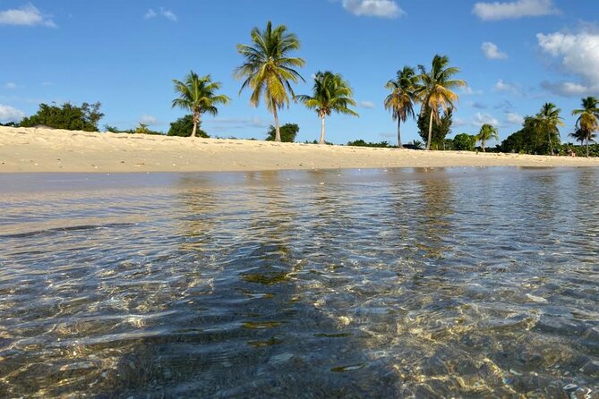 Vieques Bio Bay Tour and Beach Day Trip from San Juan by Ferry - The San Juan Pickup and Drive to Ceiba