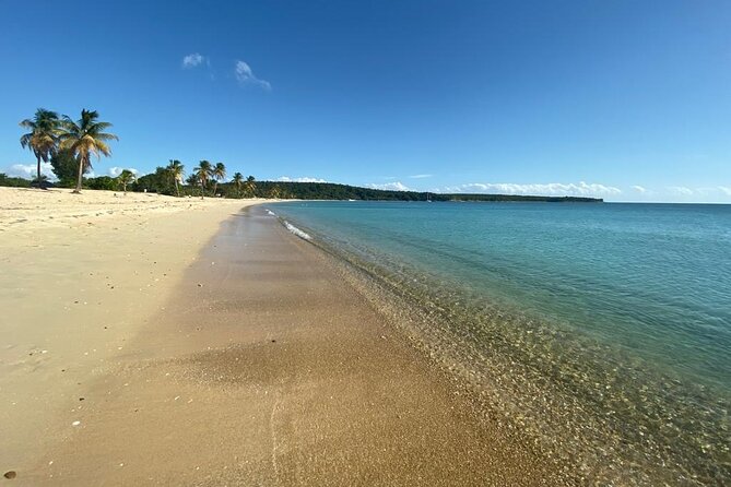 Vieques Bio Bay Tour and Beach Day Trip from San Juan by Ferry - Dinner and the Malecon in Esperanza