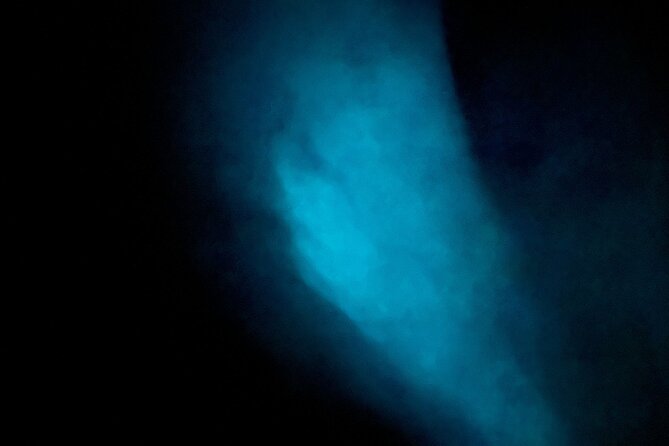 Vieques Bio Bay Tour and Beach Day Trip from San Juan by Ferry - The Ferry Crossing From Ceiba to Vieques