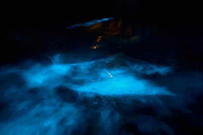 Vieques island Biobay Kayaking Tour - Key points before you book