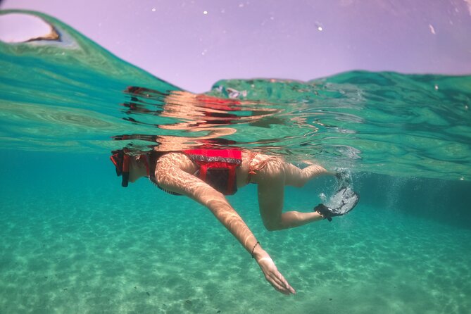 VIP San Juan: Snorkeling Tour with Turtles with Free Videos - What you may see beneath the surface