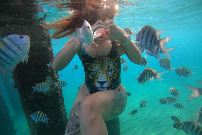 VIP San Juan: Snorkeling Tour with Turtles with Free Videos - Is $80 a fair price?