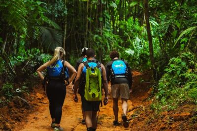 VIP Small Group El Yunque Rainforest Adventure