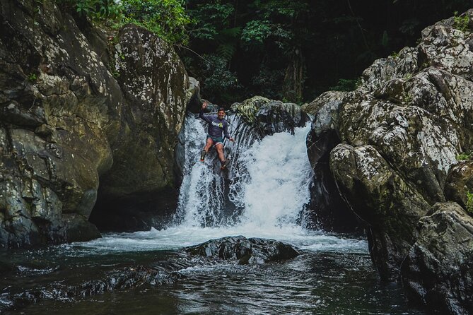 VIP Small Group El Yunque Rainforest Adventure - How the guides shape the day
