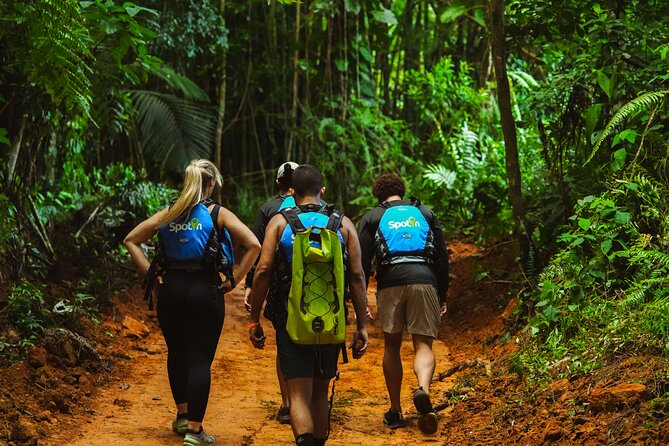 VIP Small Group El Yunque Rainforest Adventure - The rainforest hike: four hours of trails, water, and local stories