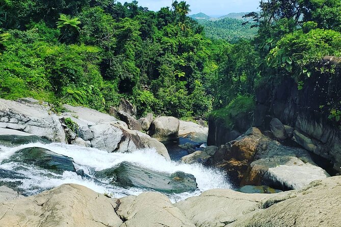 Waterfall Hike in Remote Area of El Yunque Rainforest; San Juan - What the $115 price includes