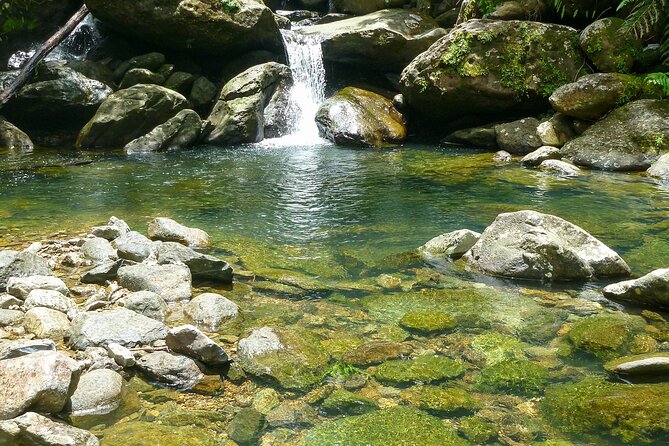 Waterfall Hike in Remote Area of El Yunque Rainforest; San Juan - Natural pools and the waterfall finish