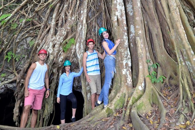 Window Cave Walking Tour from San Juan - The short hike to the cave entrance