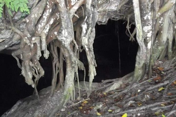 Window Cave Walking Tour from San Juan - Taíno markings in the rock