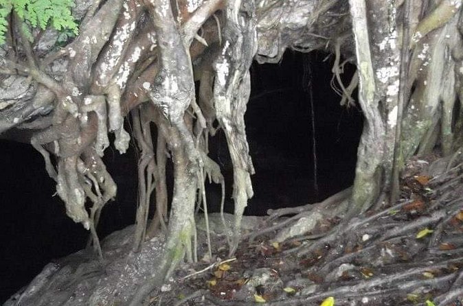 Window Cave Walking Tour from San Juan - The window view over Arecibo