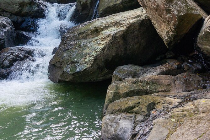 Yunque & Piñones Tour Hike Eat & Adventure with a Local; San Juan - What the $160 price includes