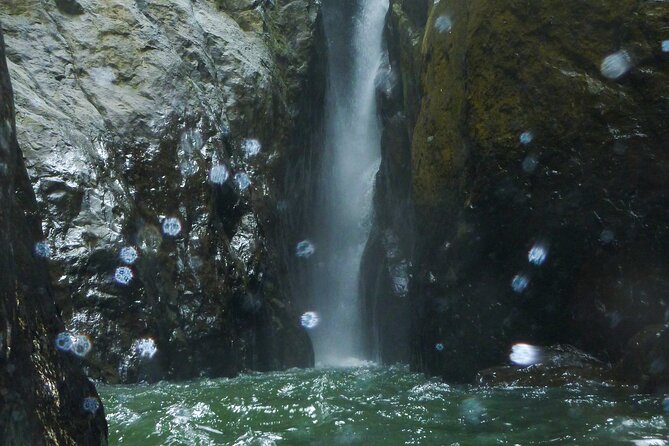 Yunque & Piñones Tour Hike Eat & Adventure with a Local; San Juan - Who should book this adventure