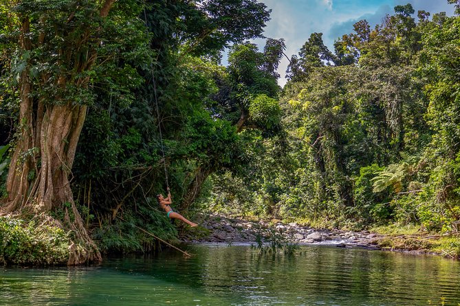 Yunque Rainforest River Rope Swing with Waterslide and Beach Tour - Why This 6 to 7-Hour Day Works