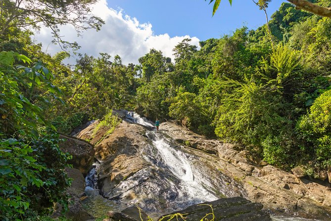 Yunque Rainforest River Rope Swing with Waterslide and Beach Tour - Who Will Enjoy This Most