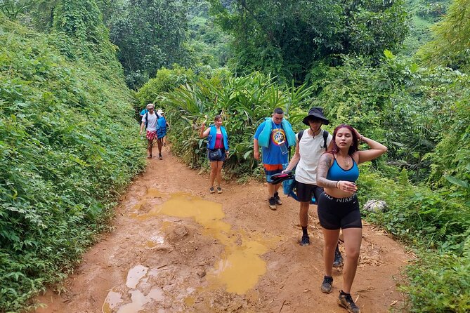 Yunque Rainforest Tour in Puerto Rico - Who will enjoy this El Yunque outing