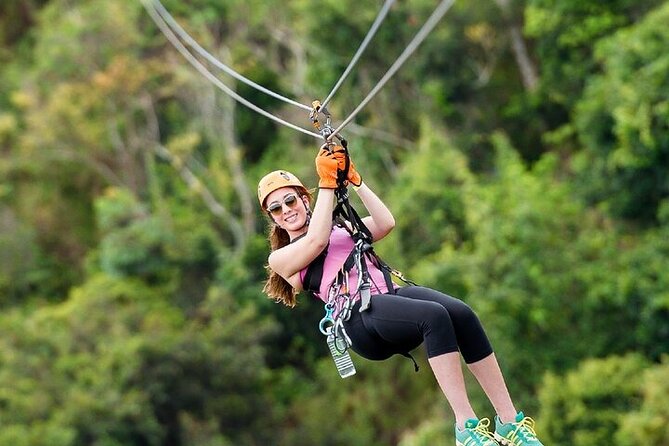 Zipline Adventure Tour - What $98.26 buys you