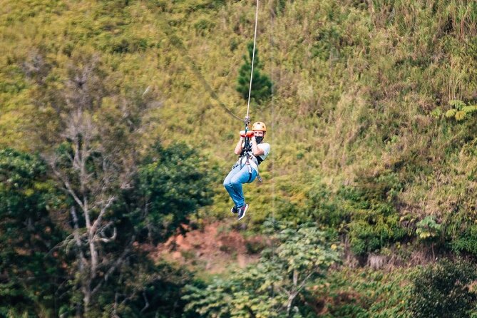 Zipline Adventure Tour - Eight cables, changing speed, and forest views
