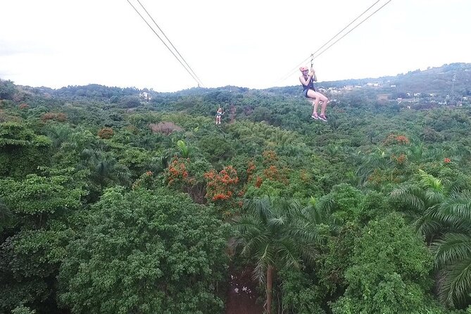 Zipline Canopy Tour with Transport from San Juan - Key points at a glance