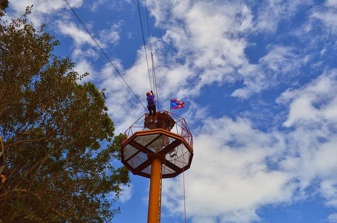 Zipline Canopy Tour with Transport from San Juan - Guides, safety, and the feel of the course