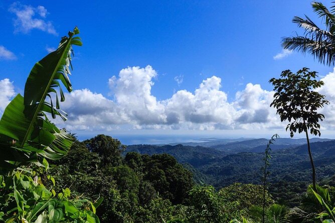 Zipline Canopy Tour with Transport from San Juan - Families, cruise passengers, and nervous beginners