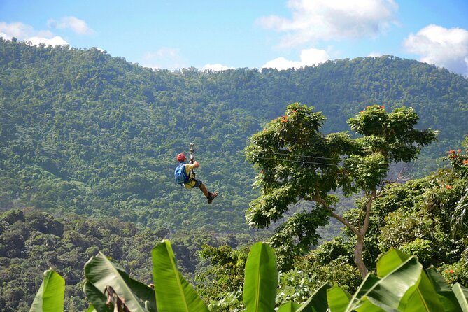 Ziplining at the Rainforest in Puerto Rico - Key points to know before booking