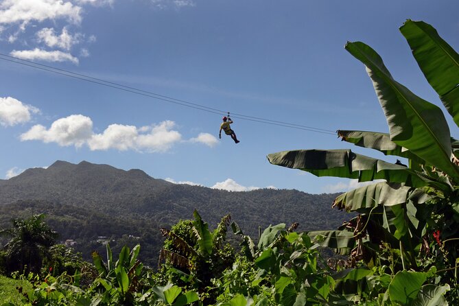 Ziplining at the Rainforest in Puerto Rico - Why this Luquillo course feels like more than a zipline