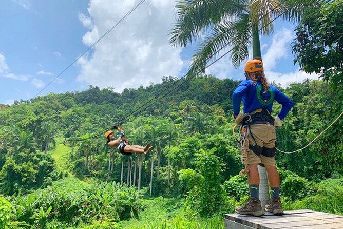 Ziplining at the Rainforest in Puerto Rico - The parts between the platforms