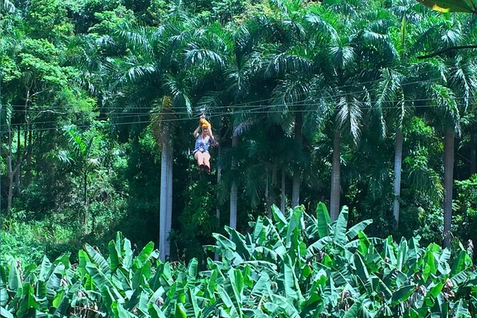Ziplining at the Rainforest in Puerto Rico - Rappelling and crossing the hanging bridge