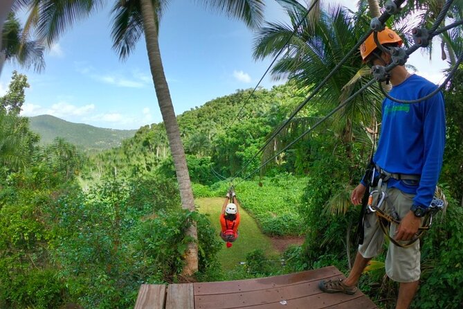 Ziplining at the Rainforest in Puerto Rico - How the $149 price measures up