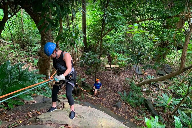 Ziplining at the Rainforest in Puerto Rico - Morning or afternoon session?